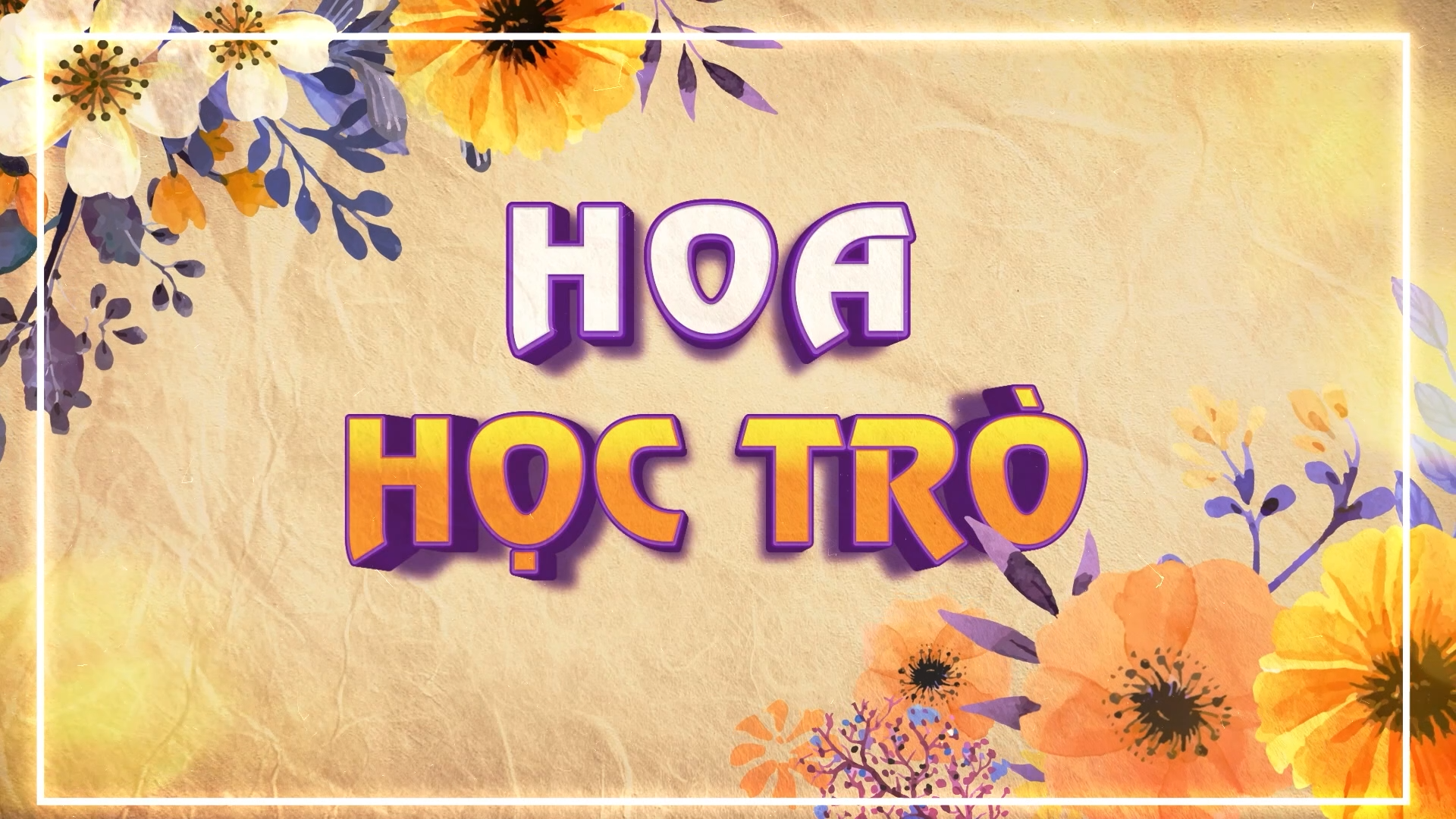 Hoa học trò (28-4-2024)